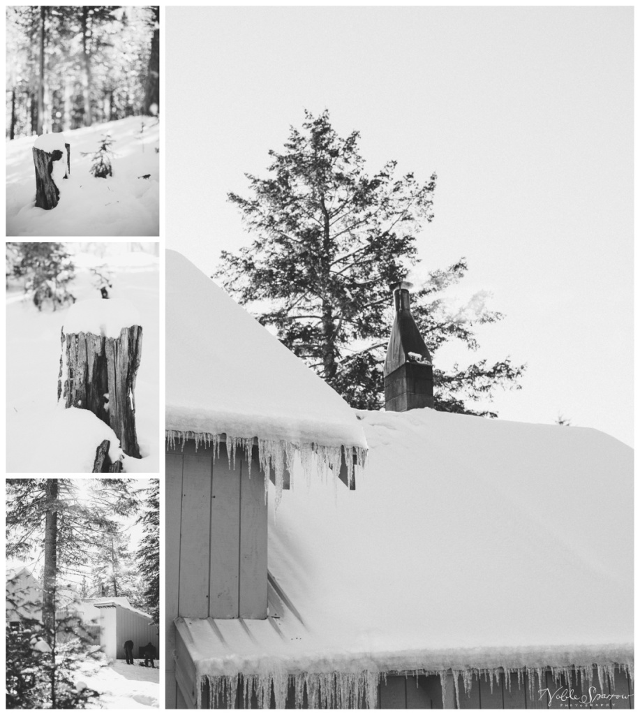 personal-project-cabin_0027