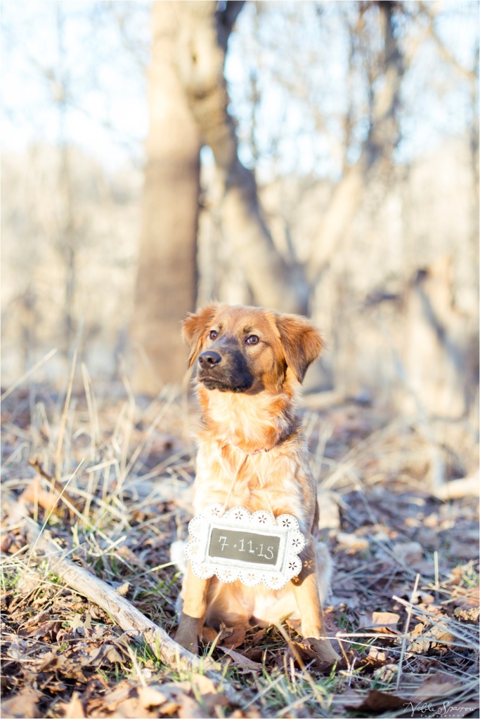 Sherrell+James-Lynchburg-Engagement_0009