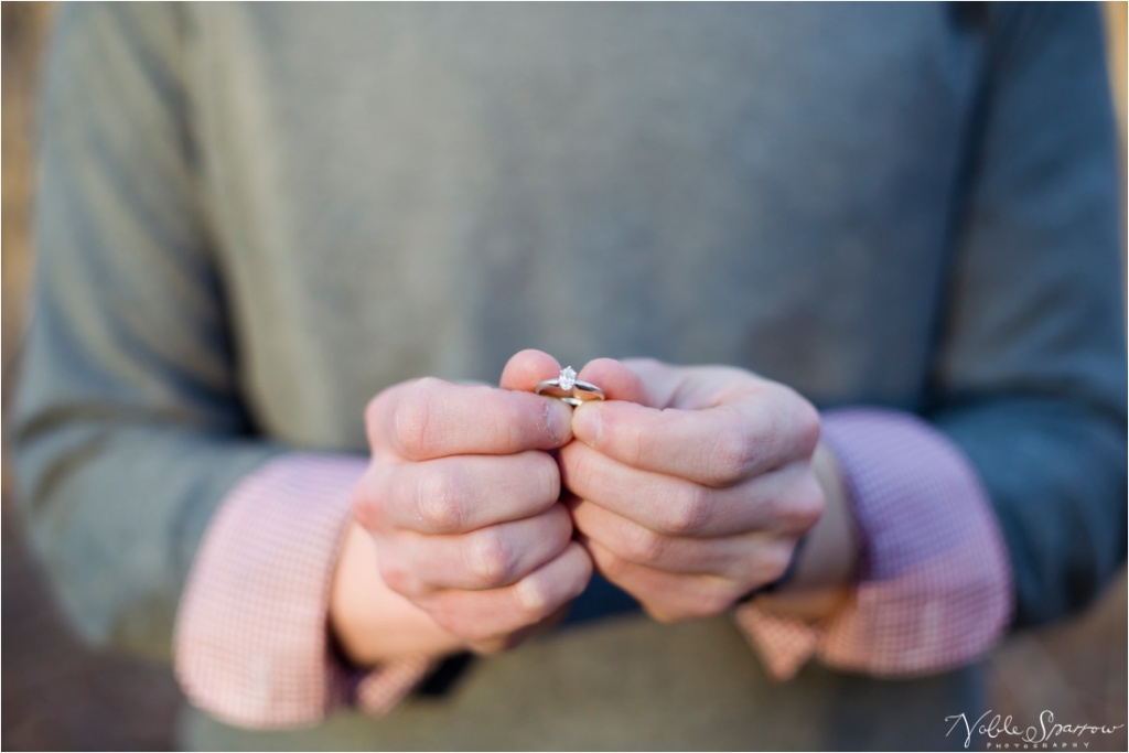 Sherrell+James-Lynchburg-Engagement_0011