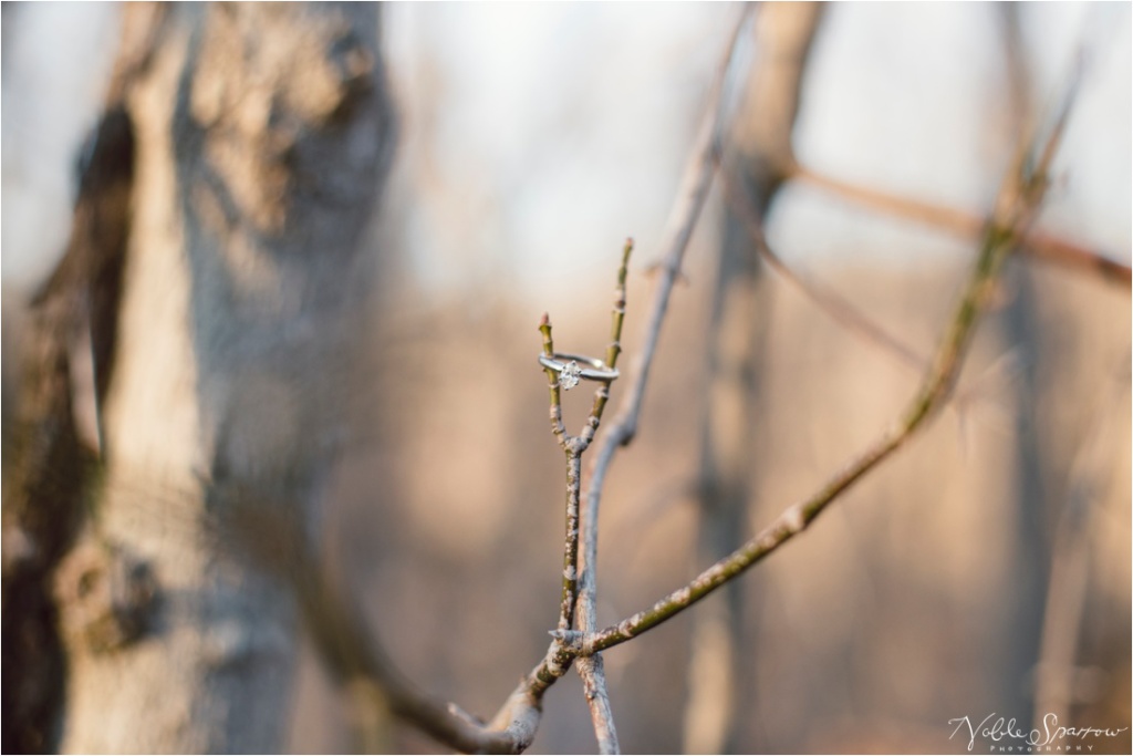 Sherrell+James-Lynchburg-Engagement_0012