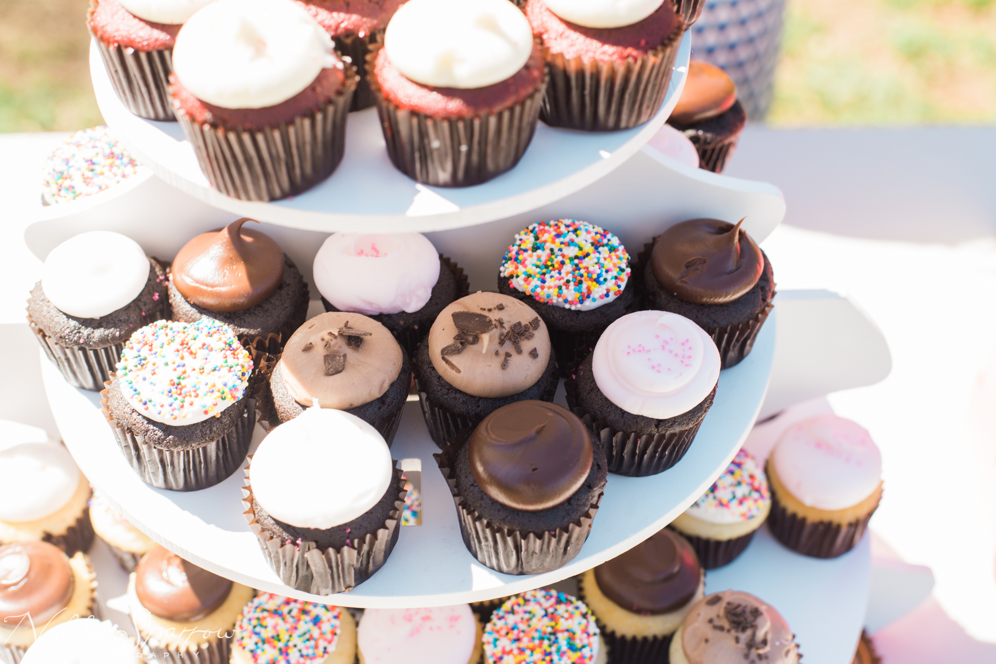 MacedoniaHillsOpenHouseNobleSparrowPhotography003 Showit Blog